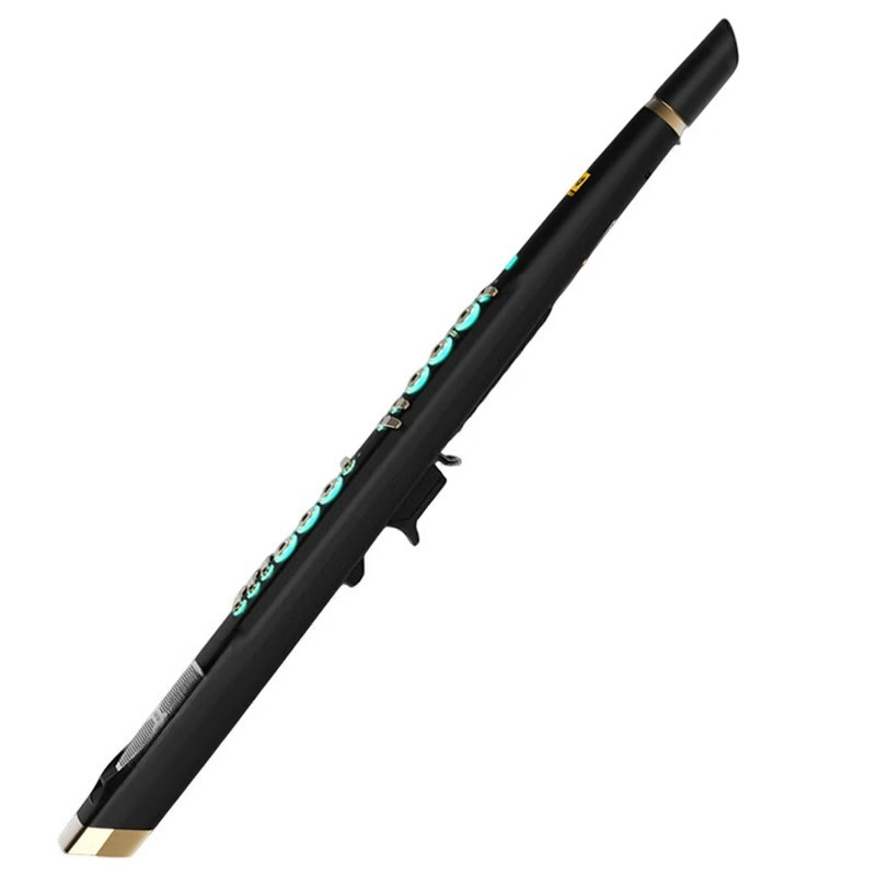 Musical Instrument You Blow Into - Sassofono elettrico intelligente C20 con campionamento