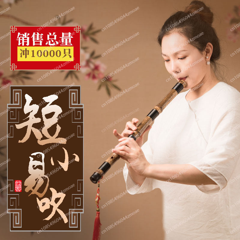 Flauto professionale in bambù  - Musical Instrument You Blow Into recensione e prezzo