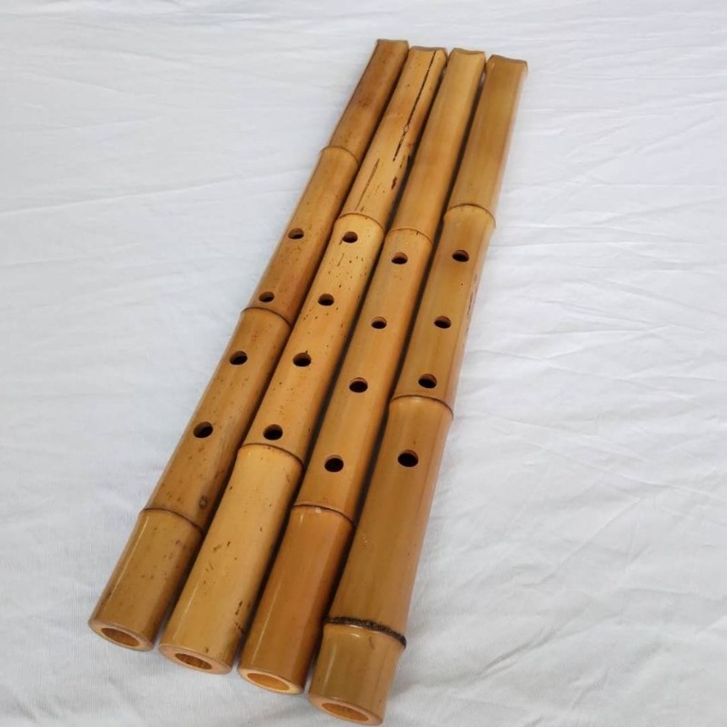 Flauto Verticale Shakuhachi Ar - Shakuhachi Bamboo Flute recensione e prezzo