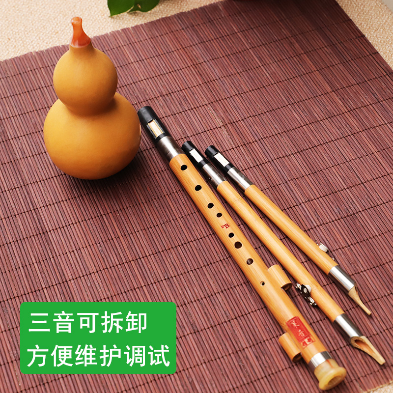 Strumento musicale in seta di  - Musical Instrument You Blow Into recensione e prezzo