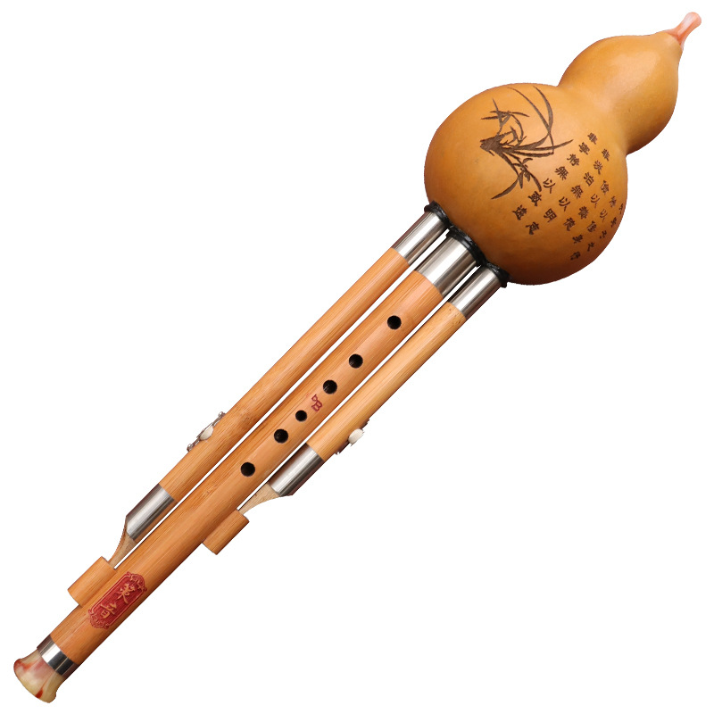 Strumento musicale in seta di  - Musical Instrument You Blow Into recensione e prezzo