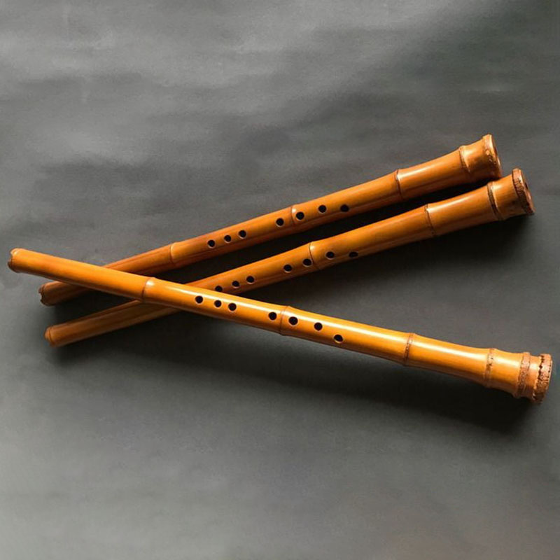 Bambù a 8 fori Xiao Performanc - Musical Instrument I Play recensione e prezzo