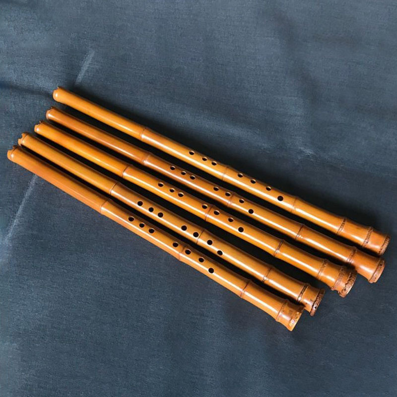 Bambù a 8 fori Xiao Performanc - Musical Instrument I Play recensione e prezzo