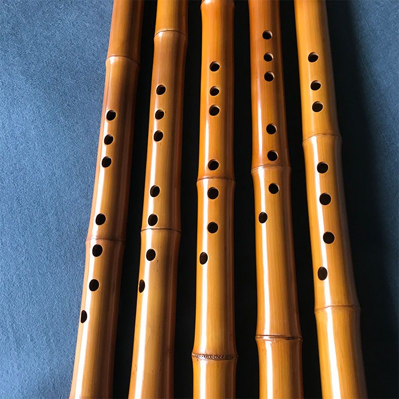 Bambù a 8 fori Xiao Performanc - Musical Instrument I Play recensione e prezzo