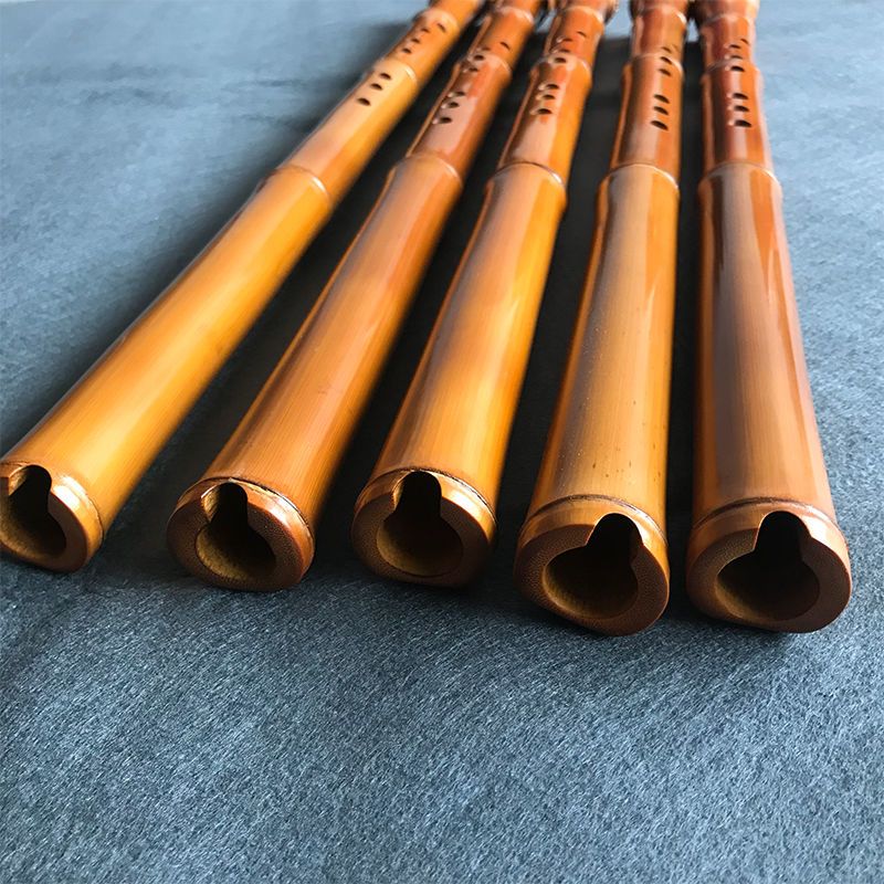 Bambù a 8 fori Xiao Performanc - Musical Instrument I Play recensione e prezzo